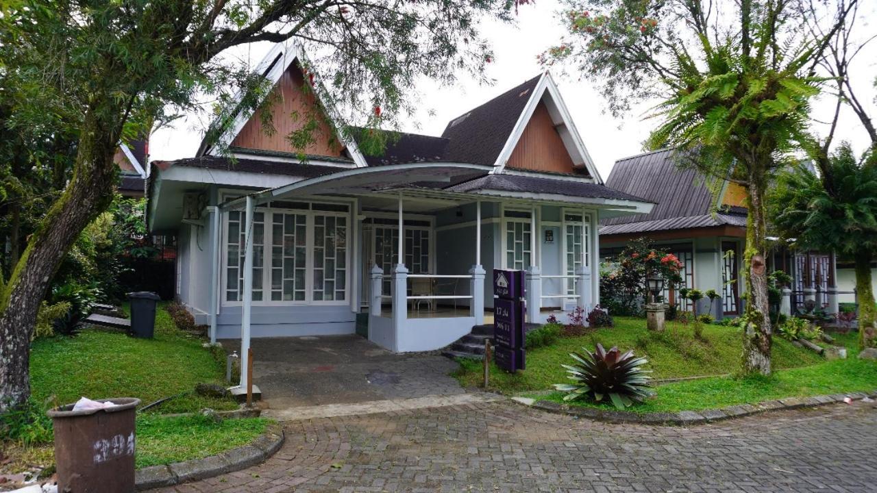 Diyar M6-11 Puncak