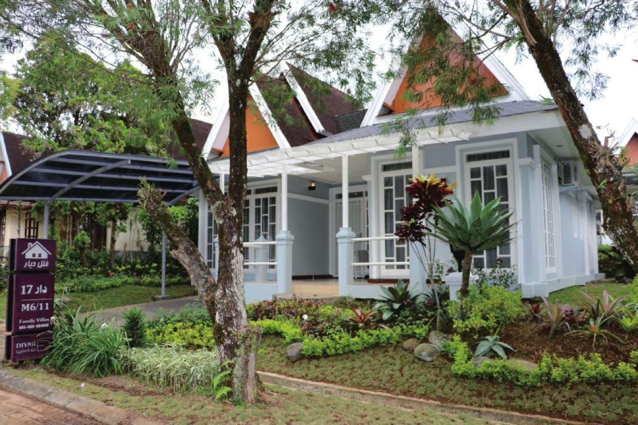 Diyar M6-11 * Puncak
